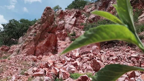 Double focus sheet and opal lead Stock Footage 157237305