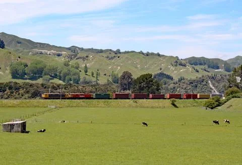 A double headed diesel train pulling goods wagons in a remote region of New Z Foto stock