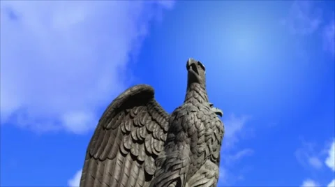 Double headed eagle spreads its wings Stock Footage 48234704