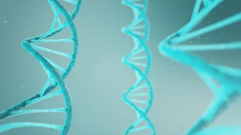 Double helical structure of DNA, DNA molecule, RNA. The concept of biochemistry Stock-Illustration