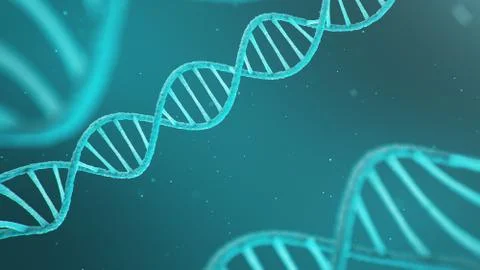 Double helical structure of DNA, DNA molecule, RNA. The concept of biochemistry Stock Illustration