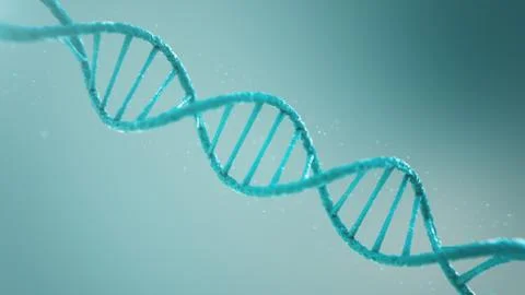 Double helical structure of DNA, DNA molecule, RNA. The concept of biochemistry イラスト素材