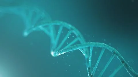 Double helical structure of DNA, DNA molecule, RNA. The concept of biochemistry Stock-Illustration