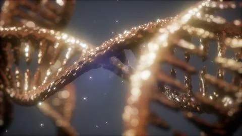 Double helical structure of dna strand close-up animation イラスト素材