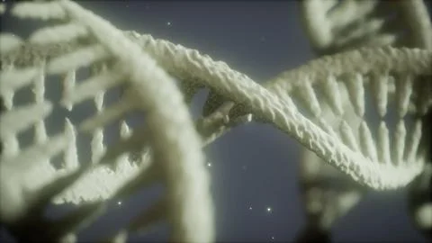Double helical structure of dna strand close-up animation Illustrazione stock