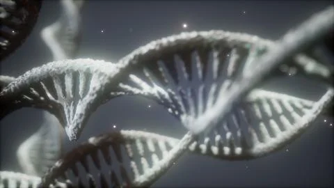 Double helical structure of dna strand close-up animation イラスト素材