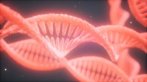 Double helical structure of dna strand close-up animation イラスト素材