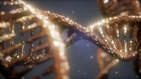 Double helical structure of dna strand close-up animation イラスト素材