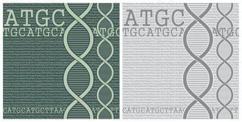 Double Helix of DNA and Nucleic Bases background Stock Illustration
