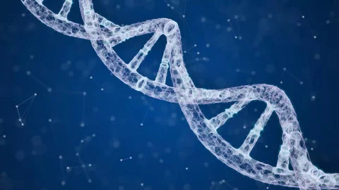 Double helix dna is formed from a plexus Stock Footage 128308551