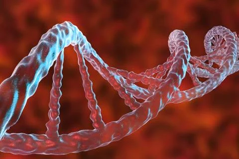 Double helix of DNA Stock Illustration
