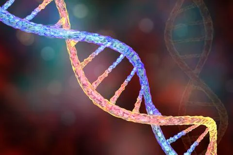 Double helix of DNA Stock Illustration