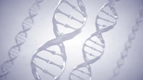 Double helix DNA molecules 3d animation render. Stock Footage 147867835