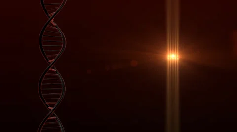 Double Helix DNA spinning on red lens flare background Stock Footage 37080083