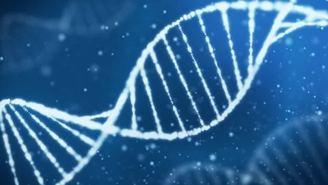 Double Helix Dna Strand in a 3D animation Stock Footage 241643696