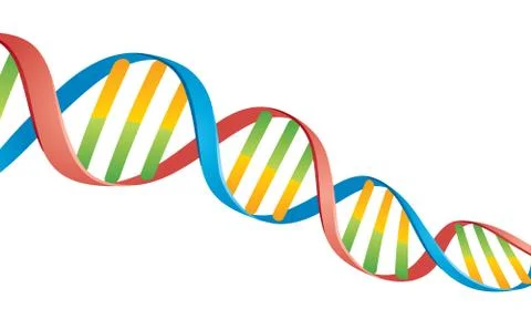 Double Helix DNA Strand Illustrazione stock