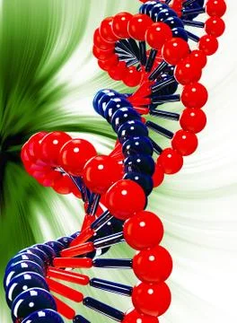 Double Helix - DNA Strands Stock Illustration