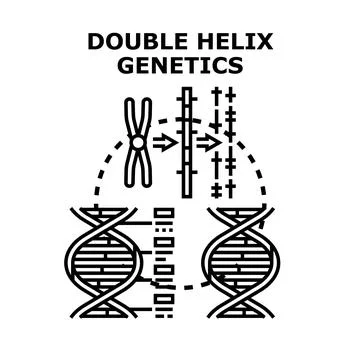 Double helix genetics research and analysis concept Stock Illustration