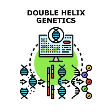 Double helix genetics research and dna sequencing Stock Illustration