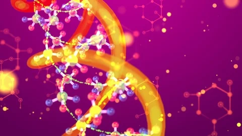 Double helix molecule, gene structure, molecule model Vidéo 124047889