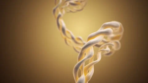 Double Helix Structure of the DNA Strand Stock Footage 289604104