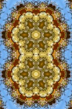Double hexagonal flowers in circular arrangement at wedding in California on 写真素材