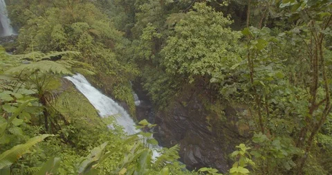 Double Jungle Waterfalls Stock Footage 107445020