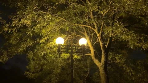 Double Lamp Post at Night with Light Wind  Stock Footage 139761791