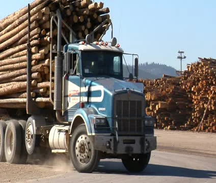 Double length log truck pulls into lumber mill Stock Footage