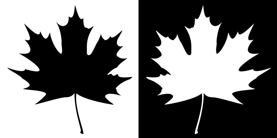 Double maple leaf silhouette Stock Illustration