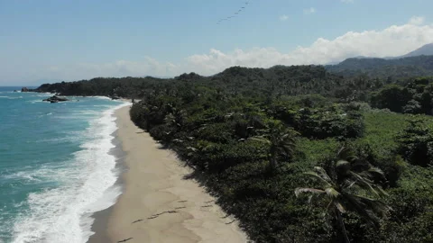 Double pelican formation flight - beach jungle - Drone Tayrona Colombia 스톡 동영상 140151383