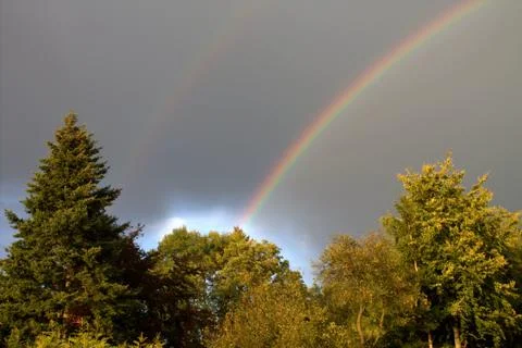 A double rainbow above the forest after the rain. Stock Photos