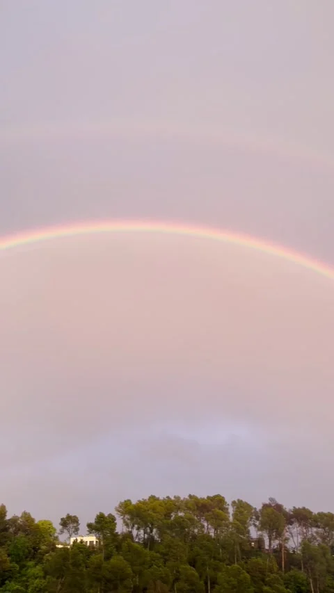Double rainbow arching over a forested hillside Stock Footage 344412245