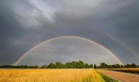 Double rainbow in crop fields and forest on horizon, gravel road Stock Photos