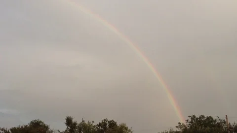 Double Rainbow In the Grey Sky and Green Trees In The Village 6 Stock Footage 106417885