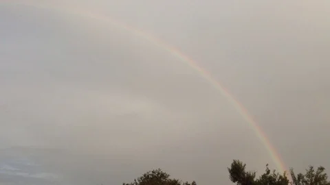 Double Rainbow In the Grey Sky and Green Trees In The Village 4 Stock Footage 106417886