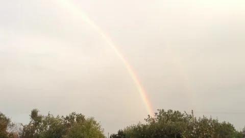 Double Rainbow In the Grey Sky and Green Trees In The Village 7 Stock Footage 106417896