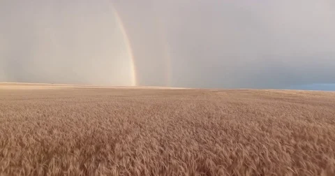 Double Rainbow Lightning Strike Stock Footage 70389025