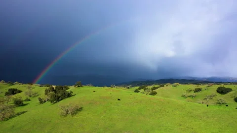 Double rainbow over rolling hills with cattle livestock and stormy mountains Stock Footage 150236232