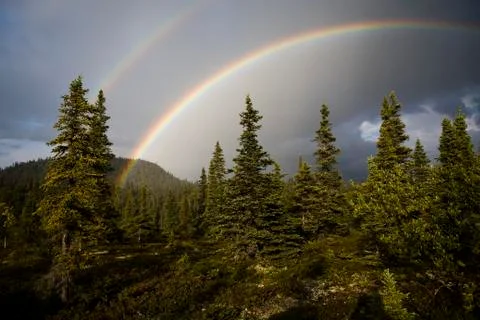 A Double Rainbow In The Sky Over Forest Covered Hills Stock Photos