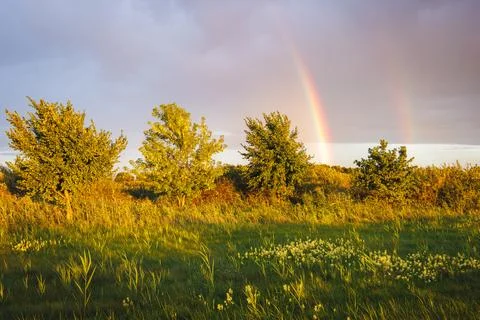 Double rainbow in a stormy sky over a row of green trees and a sunlit summe.. Stock Photos