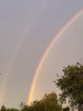 Double rainbow stretching across a soft pastel sky above tree silhouettes Foto stock