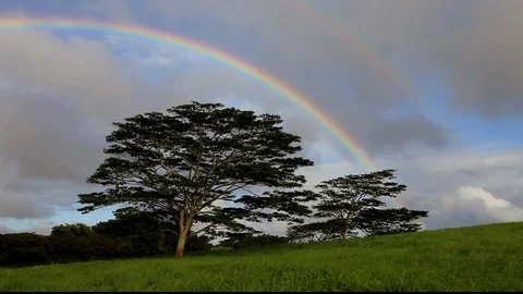 Double Rainbow Trees Stock Footage 104171761