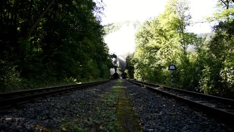 Double run, parallel run, double exit of two steam locomotives of the Harz Stock Footage 318254542