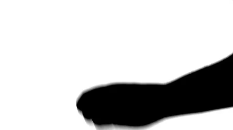 Double snapping fingers silhouette Stock Footage 8359180
