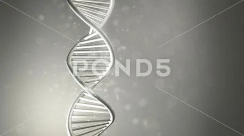 Double-stranded helix DNA model in gray color, 3D render. ~ Clip Art ...