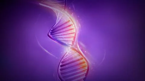 Double-stranded helix DNA model on violet background, 3D render. Stock Illustration
