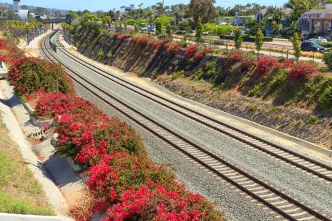 A double-track of train tracks with red flowers Stock Photos