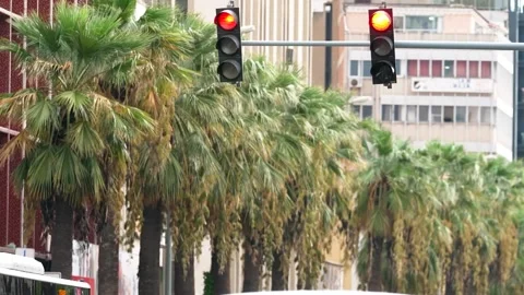 Double traffic light Stock Footage 191864332