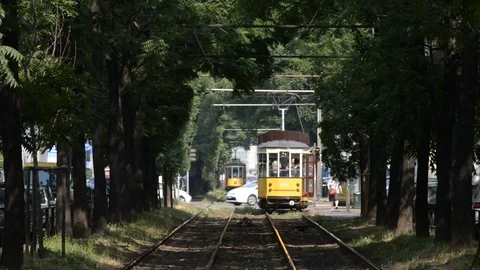 Double tramway in Milan with intersections and pedestrians Stock Footage 111329516